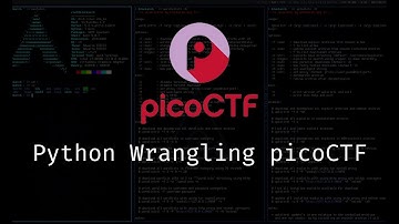 Unlocking Python Wrangling Secrets: A PicoCTF Walkthrough