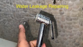 Health faucet repairing perfect guide