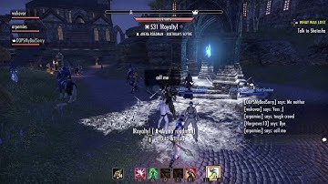 The Elder Scrolls Online: Text chat