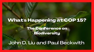 Whats Happening at COP15?