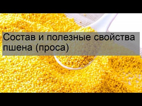 Состав и полезные свойства пшена (проса)
