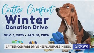Critter Comfort Winter Drive Helps Animals In Need Across Corpus Christi