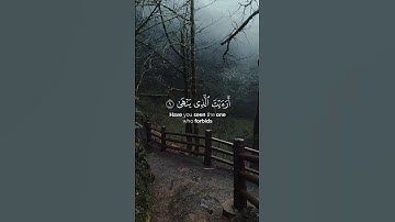 اكتب شي تؤجر عليه القارئ محمد صديق المنشاوي