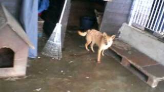 Immagine 1044.avi