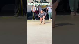 97th annual frog jumping competition#frog #frogjump
