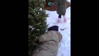 Ken cutting down Christmas Tree in 2013