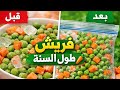 خزنى البسله والجزر صح ووفرى👌 فلوسك💥#تفريز_البسله #تفريزات_رمضان #FreezingVegetables#PeasAndCarrots