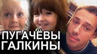 ЛИЗА И ГАРРИ ПОМОГАЮТ ПО ХОЗЯЙСТВУ  МАКСИМ ВЫБИРАЕТ ЕЛКУ