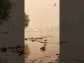 Toronto is choking: Wildfire smoke has created the world's worst air quality
