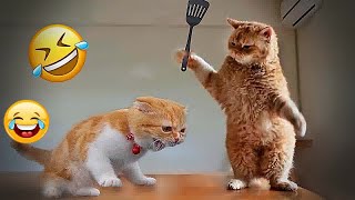 So Funny! Funniest Cats and Dogs 2024 ❤ New Funny Animals 2024 #17