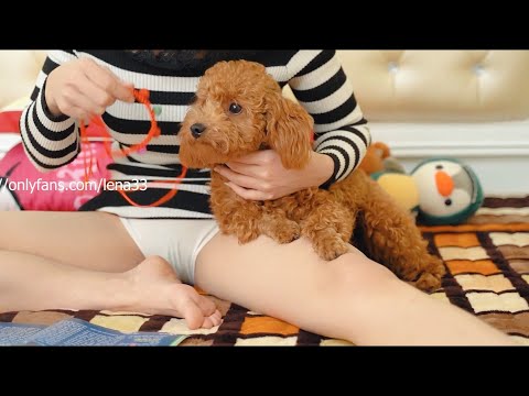 Beautiful single mom has fun with a cute dog