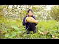 Harvesting PUMPKIN Goes To Countryside Market Sell -  Harvesting and Cooking | Thanh Farm