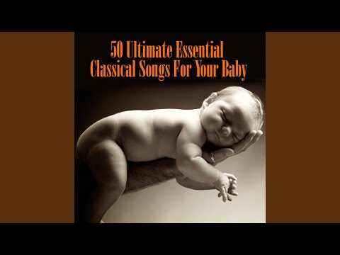 Berlin Symphonic Orchestra - Piano Sonata No.14 In C Sharp Minor Op.27/2 (as heard in Misery)