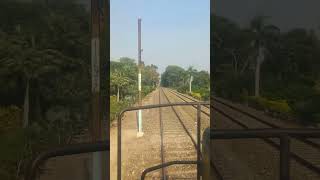 Live from Loco pilot cab view of beautiful green plants near pattoki Nurseries #live #rain #shorts