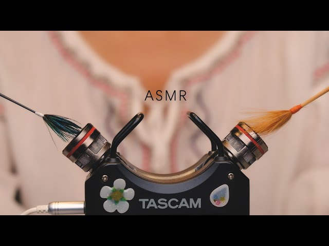 ASMR助眠—❀Ear Cleaning❀采耳，刷耳朵，掏耳