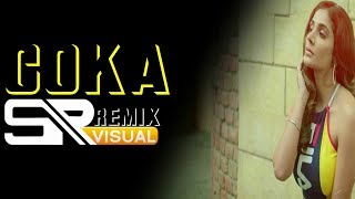 COKA REMIX l DJ MTY DUBAIXDJ HRUTIK l HAYE NI TERA COKA REMIX l LATEST PUNJABI SONGS 2019lSR_VISUALS