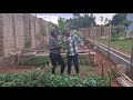 HUGE TRANSFORMATION IN OUR KITCHEN GARDEN || LIFE IN THE COUNTRY SIDE