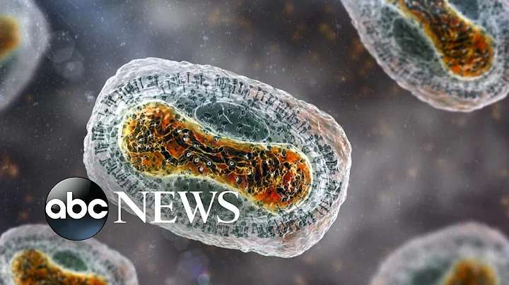 World Health Organization declares Monkeypox outbreak a 'public health emergency' - DayDayNews