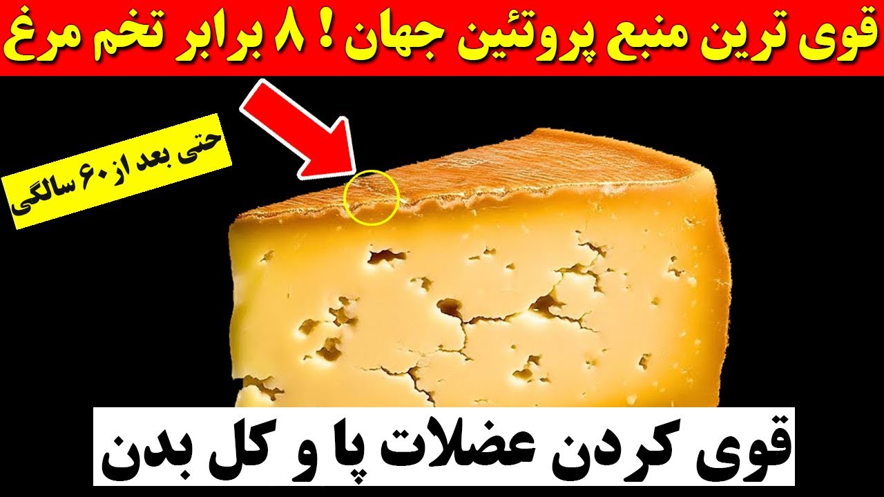 قوی ترین منبع پروتئین جهان ۸ برابر تخم مرغ  !‌ قدرتمند ترین عضلات پا رو بساز حتی بعد از ۶۰ سالگی