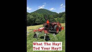 What The Hay! Ted That Hay!