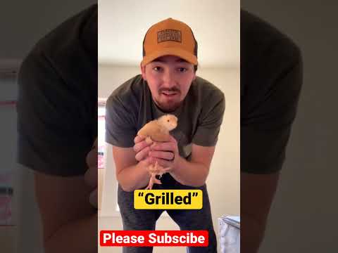 Videó: Hogy hívják a csirkehúst?