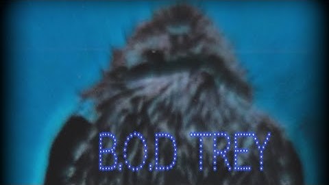 B.O.D Trey x @Cole2Kold (Why diss? Official  🎥)