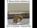 8 REACCIONES QUIMICAS QUE TE DEJARAN SORPRENDIDO