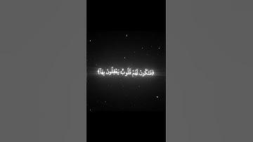 أفلم يسيرو في الأرض / ياسر الدوسري / سورة الحج / قران كريم شاشه سوداء #شاشه_سوداء