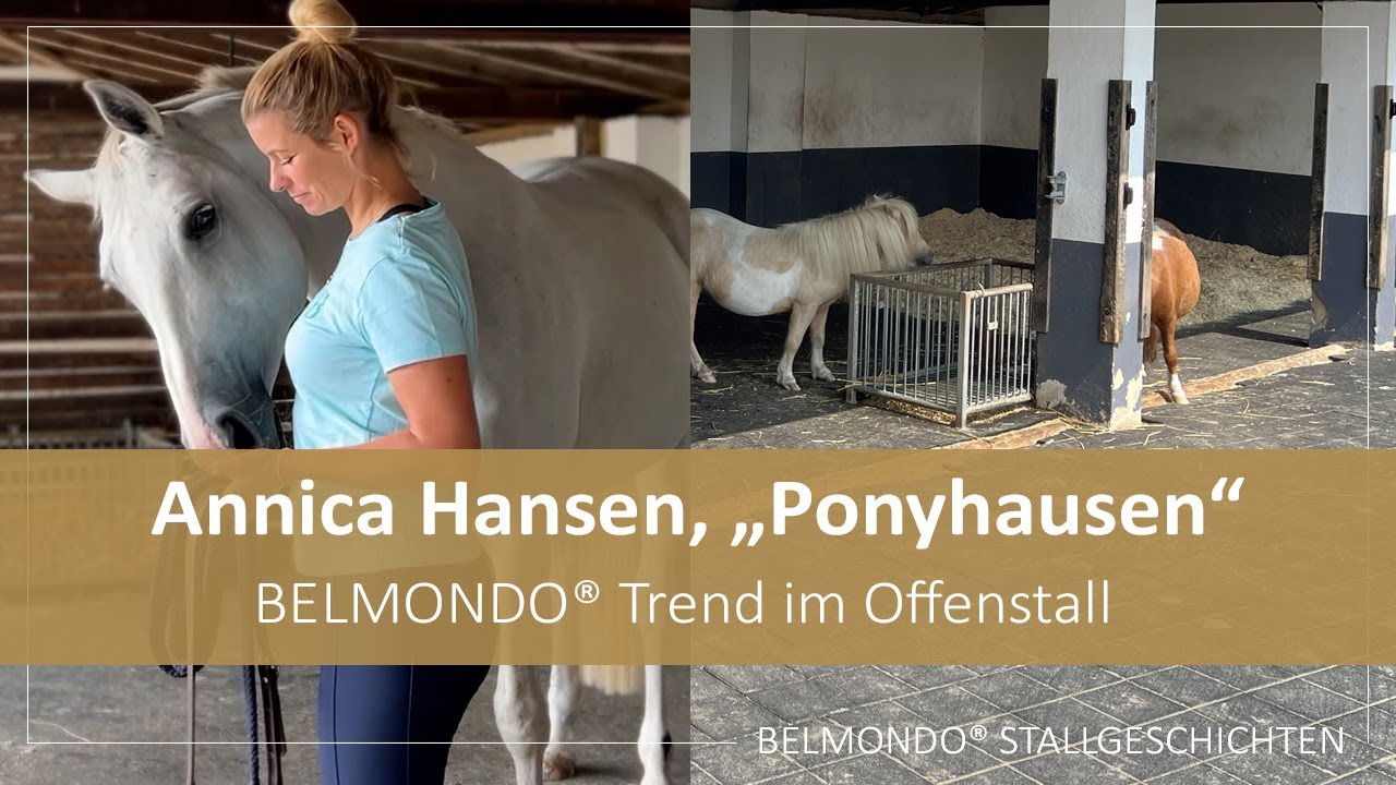 BELMONDO® Pferdematten bei Annica Hansen in "Ponyhausen": Offenstall-Umbau mit BELMONDO® Trend
