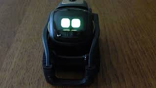 Celebrity Anki Vector I can 'see' a Rainbow SDK Wealth