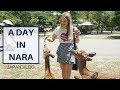 NARA Ft. Nara Park & Todaiji Temple | JAPAN VLOG