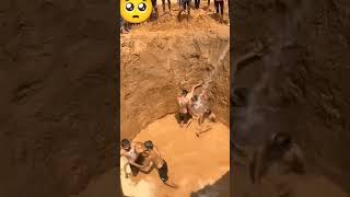 Indian Army Power Training Motivation