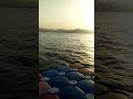 wow