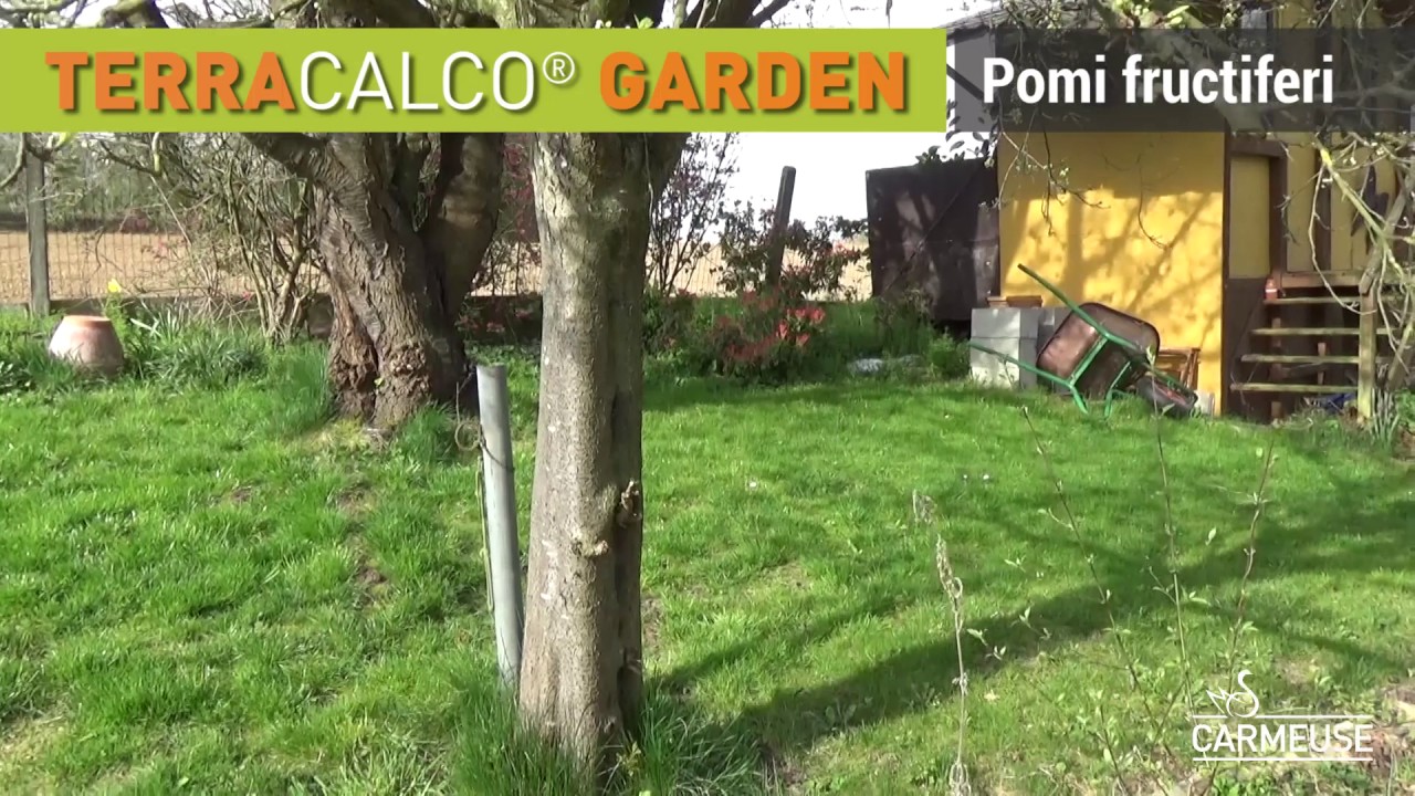 Carmeuse Terracalco Garden - Romanian version