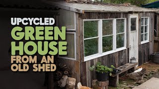 Upcycled – Greenhouse from an old shed