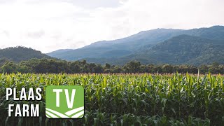 Labworld – jou vennoot in veevoer-analises