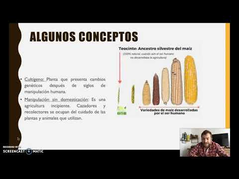 Surgimiento de la agricultura en America (I parte)