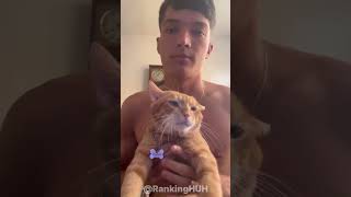 People Are Obsessed With Cats 😻. #funny #ytshorts #tiktok #memes #core #cat #cute