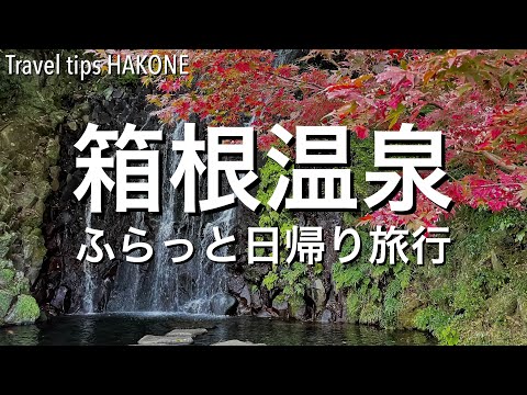 【箱根温泉日帰り旅行】おすすめの紅葉スポット•極上サウナが楽しめる温泉施設「箱根湯寮」体験レポートetc. 東京から気軽に行ける人気の観光地[4K]