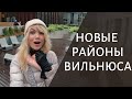 В КАКИХ ДОМАХ ЖИВУТ МОЛОДЫЕ ЛИТОВЦЫ | PAUPYS