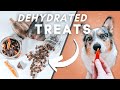 How To Dehydrate Treats For Your Pets! (Super Simple)