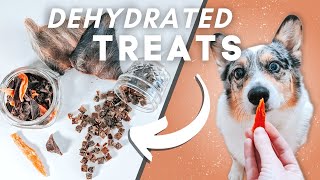 How To Dehydrate Treats For Your Pets! (Super Simple)