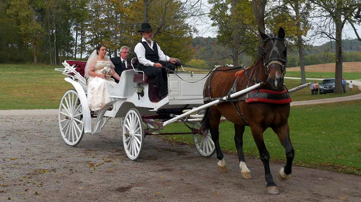 The Wedding of Aaron & Sarah Kuntz ~ 10.11.14
