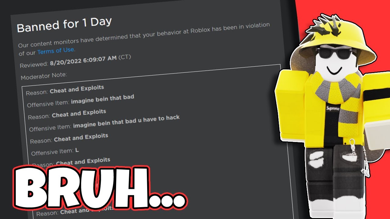 Roblox Banned ME FOR 1 DAY 