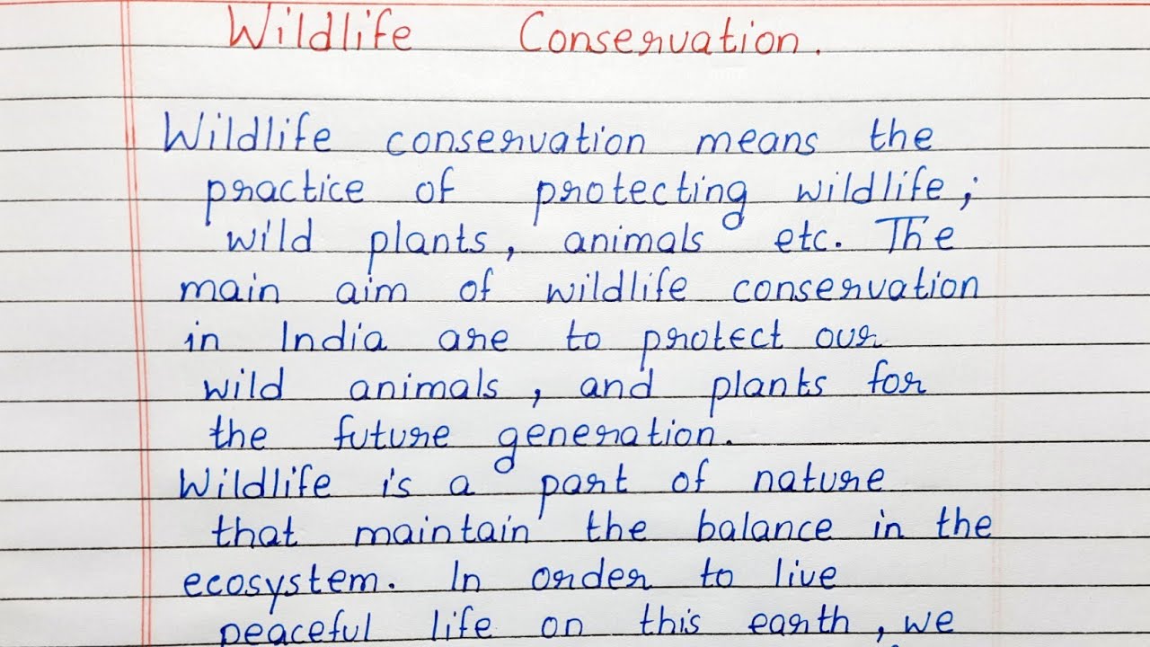 write a short essay on wildlife