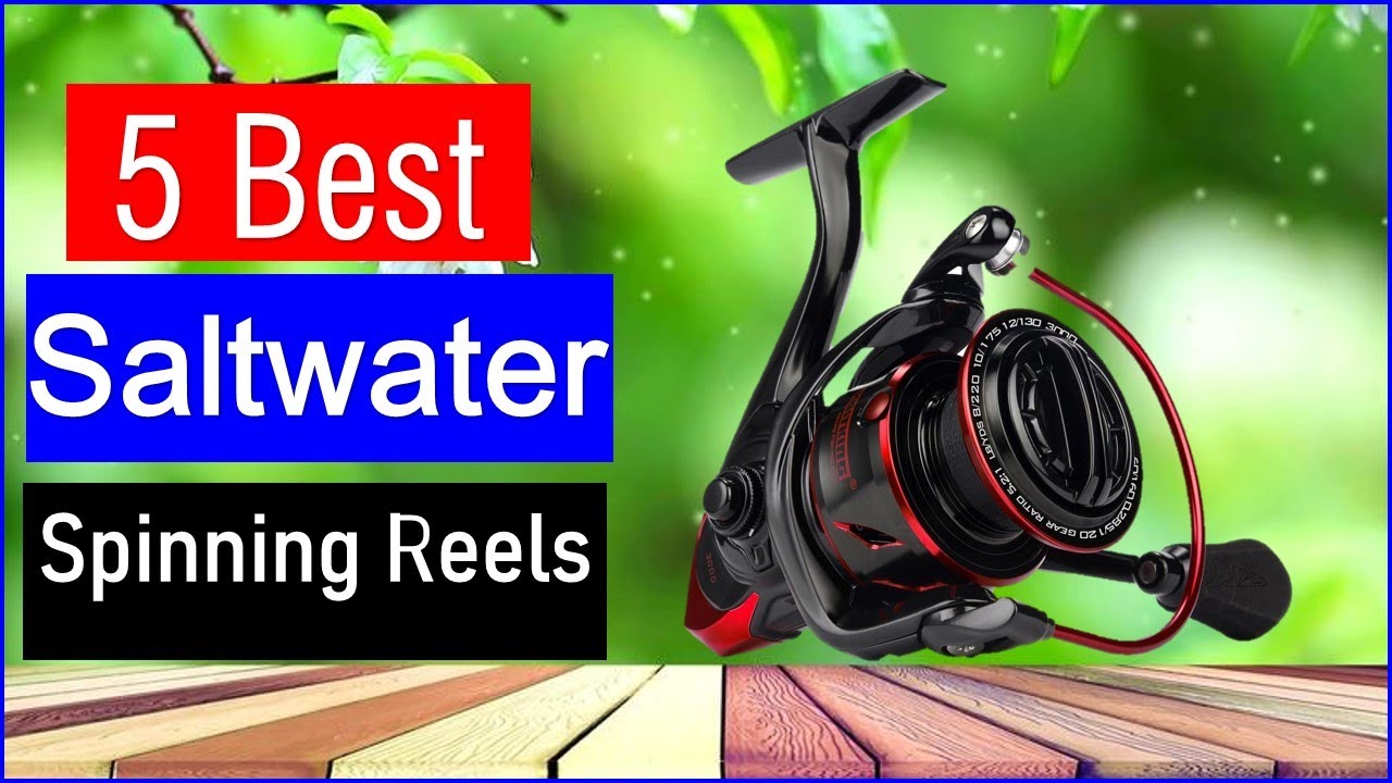 best 5000 saltwater spinning reel Top 5 Best Saltwater Spinning Reels in 2025 | Best Spinning Reels