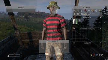 DayZ in a nutshell