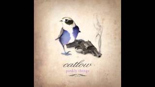 Catlow   Shinsy