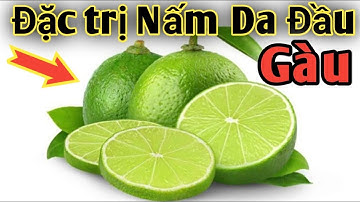 Bài thuốc Đặc trị Nấm Da Đầu, trị Gàu. PHAN HẢI channel.