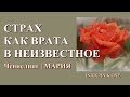 Страх как Врата в неизвестное | Ченнелинг МАРИЯ